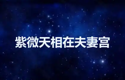 紫微天相在夫妻宫