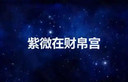 紫微在财帛宫
